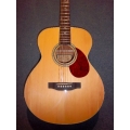 Freshman - FA1, Acoustic, Natural Freshman - FA1, Acoustic, Natural